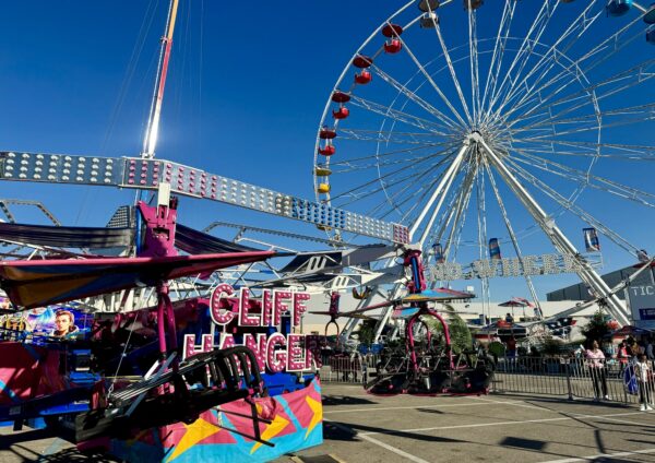 ferris wheel in the Houston Rodeo carnival